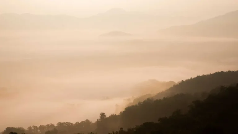 कनिष्ठ सहायक Answer Key 2024: उत्तर कुंजी और आपत्ति प्रक्रिया